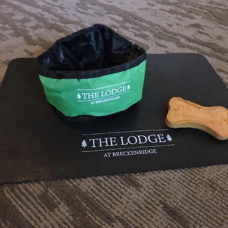 The Lodge At Breckenridge-3